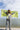 Via 100% Merino Scarf Limone