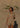 Coco Co-ord Sand